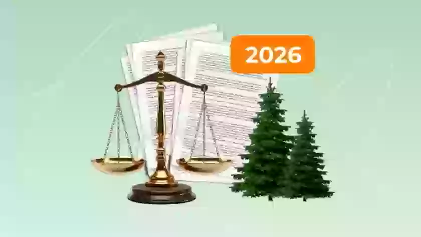С 1 сентября 2026 года начнут действовать новые правила санитарной безопасности в лесах