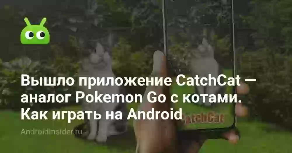 Вышло приложение CatchCat — аналог Pokemon Go с котами. Как играть на Android